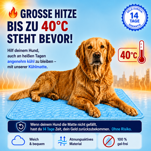 Kühlmatte – Kühlende Matte für Hunde™